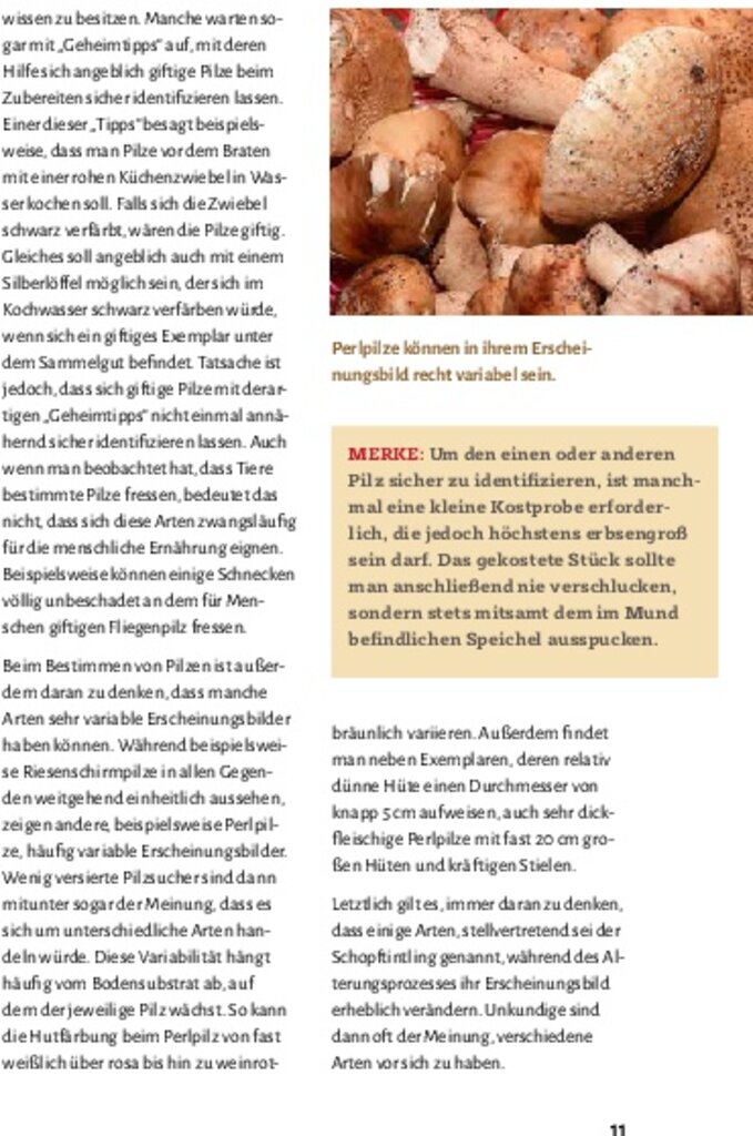 lesen