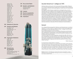 Innenansicht 2