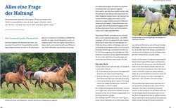 Innenansicht 6