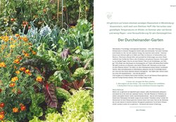 Innenansicht 2