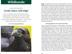 Innenansicht 1