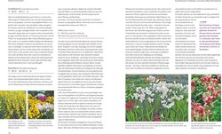 Innenansicht 7