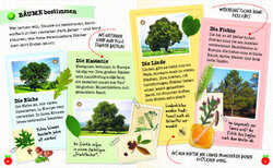Innenansicht 9