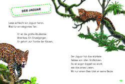 Innenansicht 6