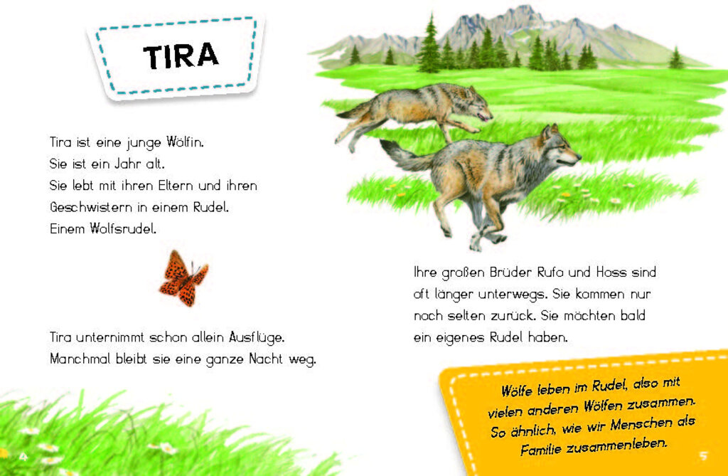 lesen