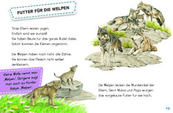 Innenansicht 6