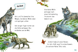 Innenansicht 11