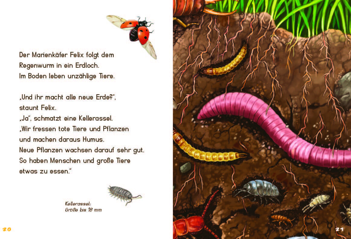 lesen