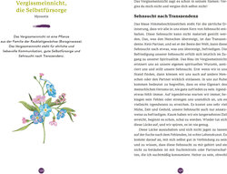 Innenansicht 3