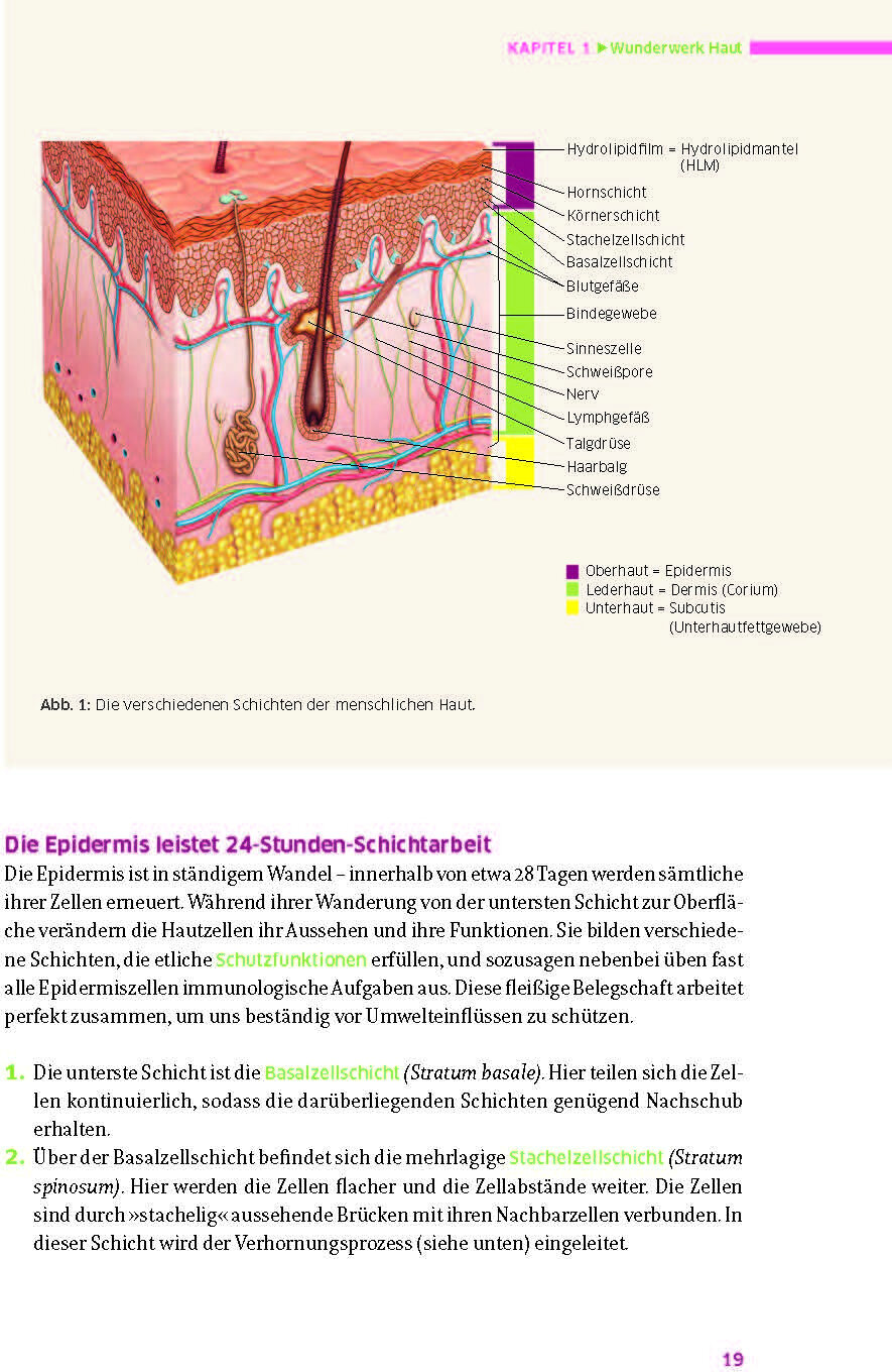 lesen