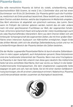 Innenansicht 3