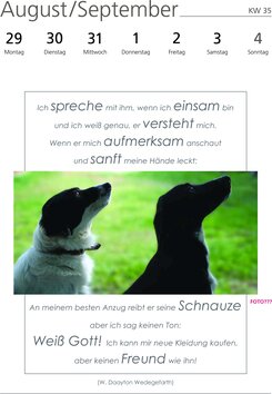 Innenansicht 7