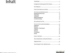 Inhaltsverzeichnis 1