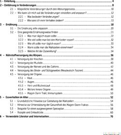 Inhaltsverzeichnis 1