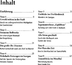 Inhaltsverzeichnis 1