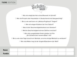 Innenansicht 3