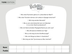 Innenansicht 5