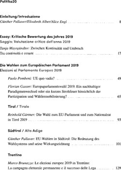 Inhaltsverzeichnis - EU-Wahlen 2019 in der Europaregion : Konfliktfeld Doppelpass - 2020